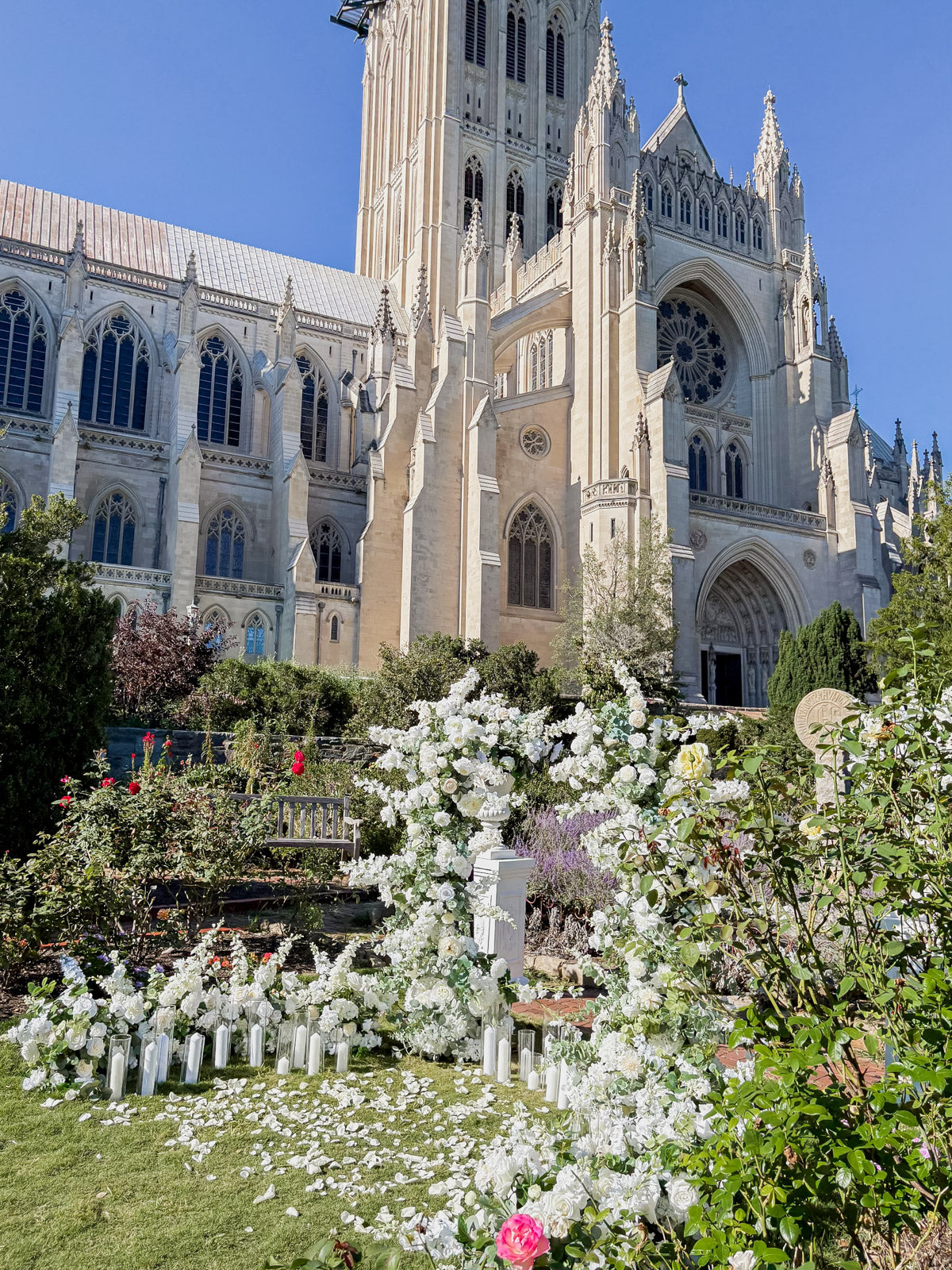 Ultimate Proposal Package